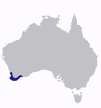 Répartition du Mérion élégant, en Australie.