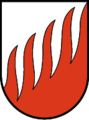 Flammenschnitt (Brand AT)