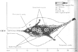 M16A2 M855 5.56×45mm wound ballistics