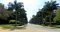 Cubbon Park Road