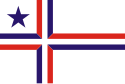 Flagge von Palotina (Paraná, Brasilien)