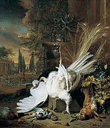 Der weiße Pfau, de Jan Weenix (1692).[47]​