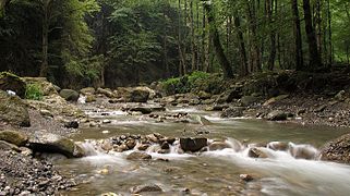 La rivière Safaroud