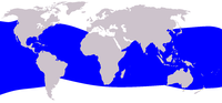 Distribución xeográfica