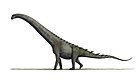 Futalognkosaurus dukei