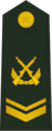 中國人民解放軍陸軍陆军二级上士（上士）肩章