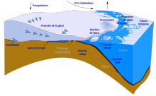 schéma en coupe d'un inlandsis et des eaux côtières, représentant les échanges.