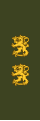 Kenraalimajuri (Swedish: Generalmajor) (Finnish Army)[27]