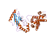 2grq: Crystal Structure of human RanGAP1-Ubc9-D127A