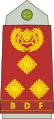 Brigadier (Botswana Ground Force)[14]