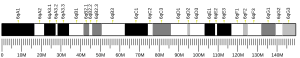 Chromosome 6 (mouse)