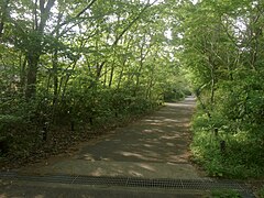 横浜自然観察の森