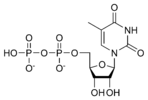 Estructura quimica de la timidina difosfat