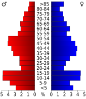 Bevolkingspiramide Schleicher County