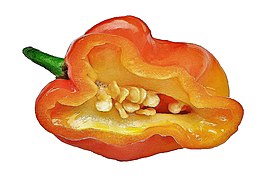 Habanero в разрезе