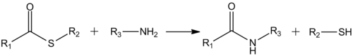 Formation of amides from thioesters