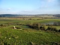 Flemingston Moor