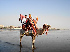 Clifton beach is popular for its camel rides.