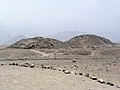 Pyramidnrelikt (Caral).