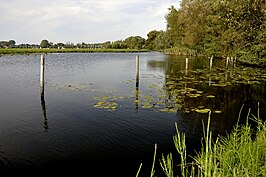 De Piereput, nabij de ingang van het natuurreservaat 'Assels'