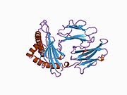 1age: ANTAGONIST HIV-1 GAG PEPTIDES INDUCE STRUCTURAL CHANGES IN HLA B8-HIV-1 GAG PEPTIDE (GGKKKYRL-7R MUTATION)