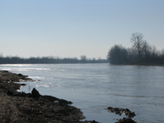 The Someș River in Merișor