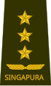 Lieutenant General (Singapore)