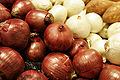 Dwie odmiany cebuli – czerwona i biała