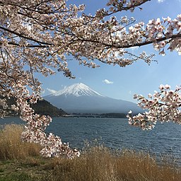 Kawaguchisjön med Fuji i bakgrunden