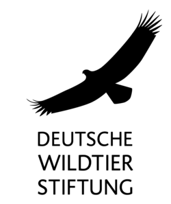 Logo der Deutschen Wildtier Stiftung