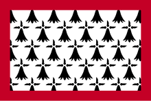 Description de l'image Flag of Limousin.svg.