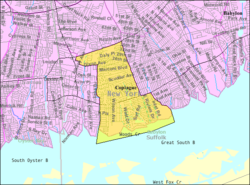 U.S. Census map