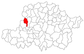 Location in Arad County