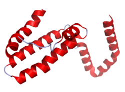 Interleukin-10