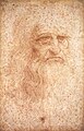 Image 13Leonardo da Vinci, seen here in a self-portrait, has been described as the epitome of the artist/engineer. He is also known for his studies on human anatomy and physiology. (from Engineering)