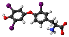 Ball-and-stick model of the reverse triiodothyronine molecule as a zwitterion