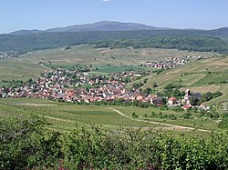 Skyline of Westhalten