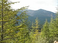 View of Nacedero Valley, Sierra Madrona