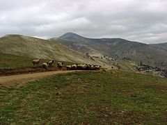 Akilbaba Tepesi in the Giresun Mountains Chain in the Black Sea Region of Turkey