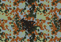 Belgian Flecktarn