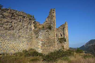 Roïnas del castèl