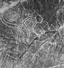 Nazca Lines