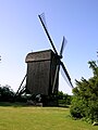 Den gamle stubmølle i Strandparken