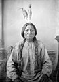 Sitting Bull († 15. Dezember)