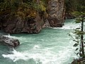 Image 5Rapids in Mount Robson Provincial Park (from River ecosystem)