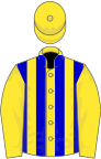 Yellow, blue stripes on body