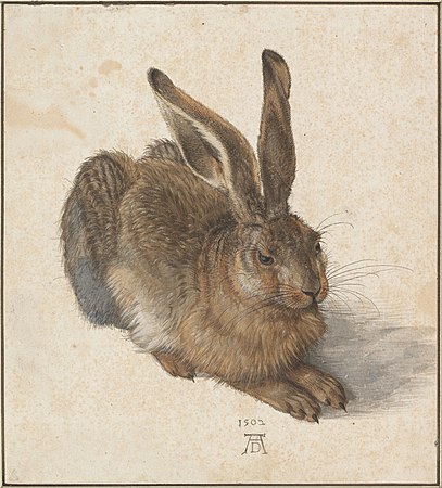 《兔仔》（德文：Feldhase） 丟勒，1502 年