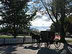 Amish buggy in Shipshewana