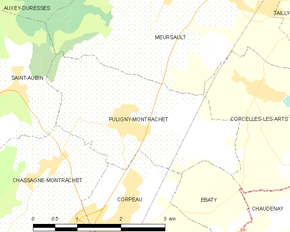 Poziția localității Puligny-Montrachet