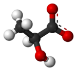 Ball-and-stick model of the lactate anion